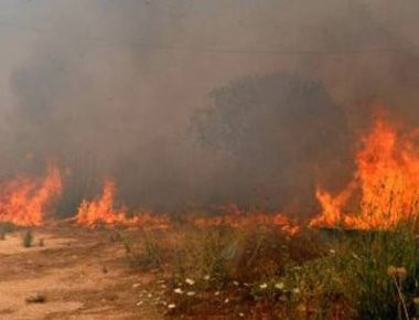 Υπό έλεγχο η πυρκαγιά στην περιοχή της Καρίτσας του δήμου Αγιάς